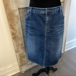 Anthropologie Denim Skirt